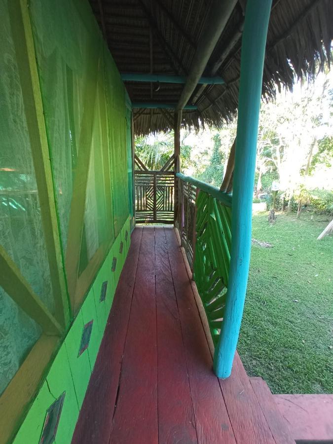 Hostal Buho Amazonas Tours Leticia Exterior photo
